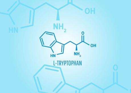 L-Tryptophan: Test & Vergleich (05/2021) der besten L-Tryptophan Präparate