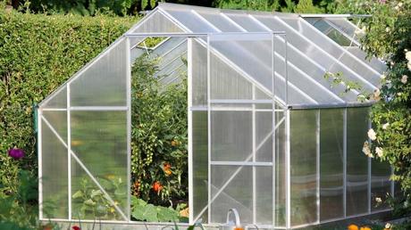 Im Juni können Sie Gemüsesorten wie Paprika, Tomaten oder Zucchini ernten.