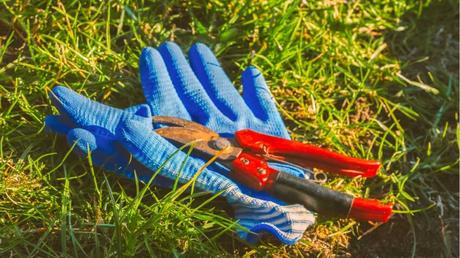 Im Juni können Sie Ihre Vorräte neu auffüllen und kleine Schäden im Garten reparieren.