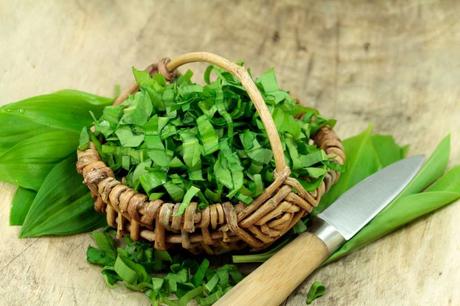 Bärlauch, Frühlingszwiebeln, Minze, Spargel und viele andere Kräuter sowie Gemüsesorten können bereits im Mai geerntet werden.