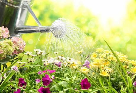 10 Tipps für eine optimale Gartenbewässerung
