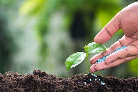 Chemikalischer Dünger zählt zu 9 Dingen, die aus dem Garten entfernen sollten