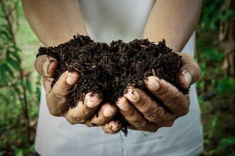 Gartenboden düngen: Person hält Erde in der Hand