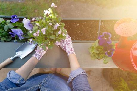 Frau pflanzt Pflanze in Balkonkasten ein