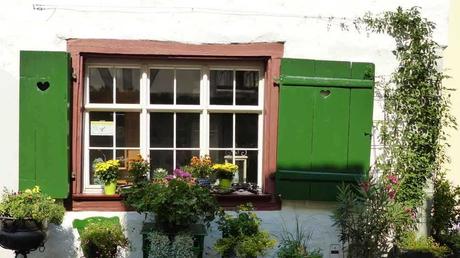 Hauswand wird mit Kletterpflanze dekoriert