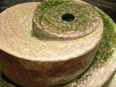 Zimmerbrunnen Test 2021: Vergleich der besten Zimmerbrunnen