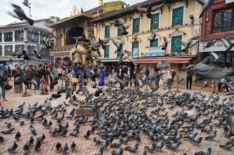 Tempel-Tour in Katmandu