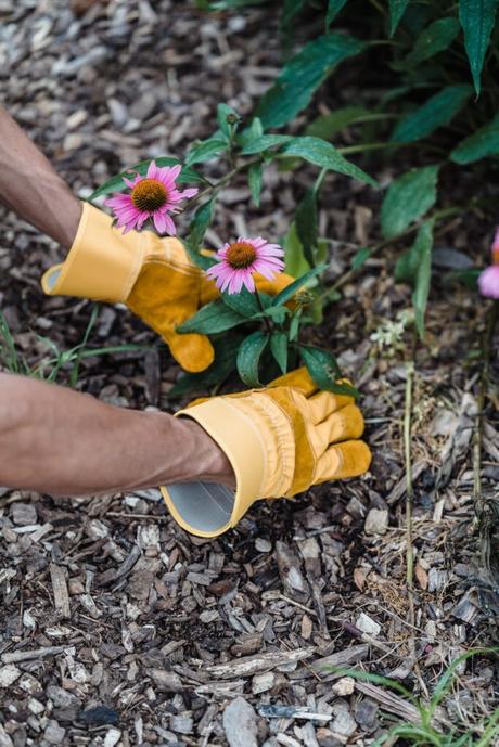 Gartenhandschuhe Test 2021: Vergleich der besten Gartenhandschuhe