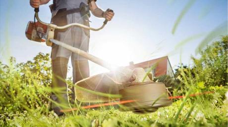 Die 3 besten Akku-Grasscheren im Vergleich – finden Sie die perfekte Grasschere für Ihren Garten – Unser Vergleich und Ratgeber