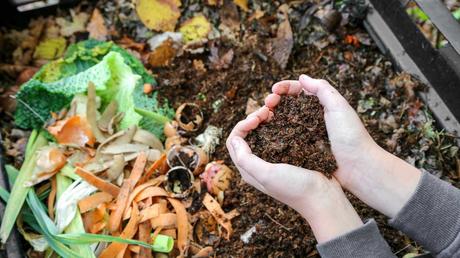 Menschliche Hand hält Kompost