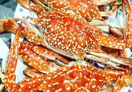 Vietnam Streetfood: Meeresfrüchte, Muschel und mehr
