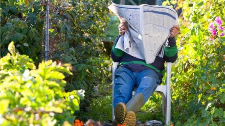 Mann sitzt auf Gartenstuhl im Schrebergarten und ließt Zeitung 