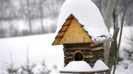 Vogelhaus im Winter