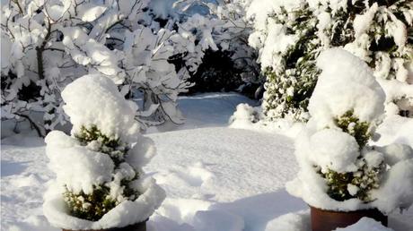 Garten mit dicker Schneeschicht bedeckt
