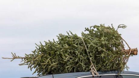Weihnachtsbaum auf Autodach