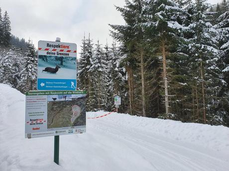 Gamskarkogel: Skitour auf den höchsten Grasberg Europas