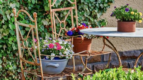 Garten mit Stühlen und Pflanzen