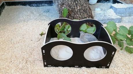 Private Wachtelhaltung – Wachteleier aus dem eigenen Garten