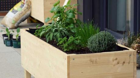 Hochbeet aus Holz mit Kräutern