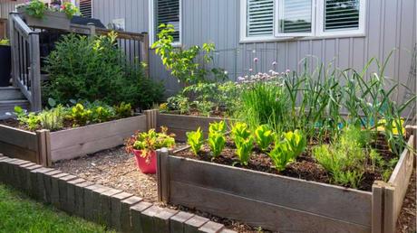 Verschiedene Hochbeete im Garten