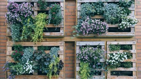 Vertikaler Garten mit Blumen an der Wand