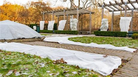 Alles rund um Winterschutz: Wir beantworten die Top-Fragen