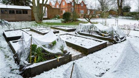 Alles rund um Winterschutz: Wir beantworten die Top-Fragen