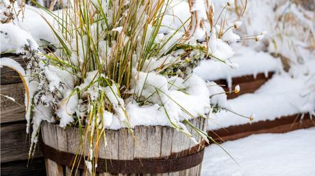 Alles rund um Winterschutz: Wir beantworten die Top-Fragen