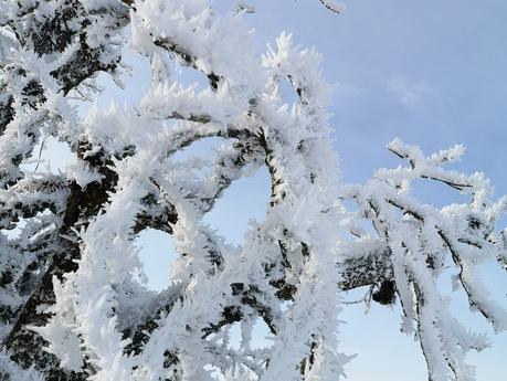 Wintersonnenwende – kürzester Tag, längste Nacht