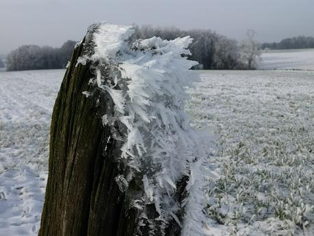 Wintersonnenwende – kürzester Tag, längste Nacht