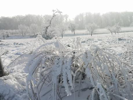 Wintersonnenwende – kürzester Tag, längste Nacht