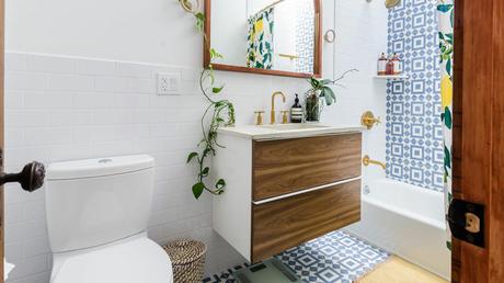 Wie Hauspflanzen zu Gesundheit und Wellness beitragen können