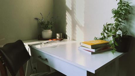 Wie Hauspflanzen zu Gesundheit und Wellness beitragen können