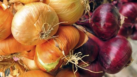 8 hitzeverträgliche Gemüsesorten für trockene Standorte
