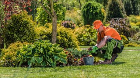 Rückenschmerzen nach der Gartenarbeit: Ursachen & Prävention und Tipps