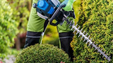 Garten im Frühling: 10 Gartenarbeiten zum Start in die neue Saison