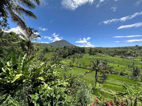 Jatiluwih Reis Terrassen zu den Tegallalang Terrassen bei Ubud?