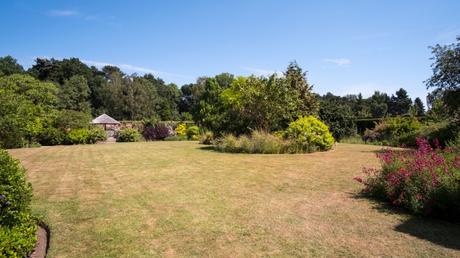 Verbrannter Rasen: Ursachen und schnelle Hilfe