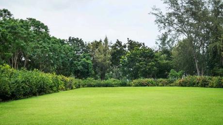 Rasen sanden: Schritt für Schritt erklärt