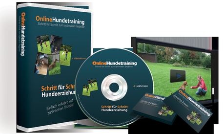 Johanna Esser Online Hundetraining