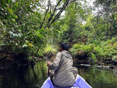 Wilde Orang Utan auf Borneo – Hausboot Tour auf dem Sekonyer River