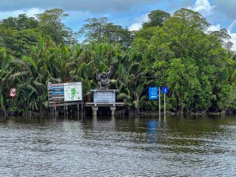 Wilde Orang Utan auf Borneo – Hausboot Tour auf dem Sekonyer River