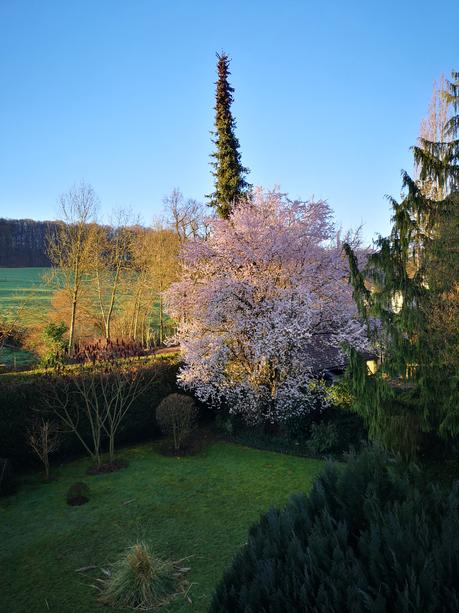 Frühlingsgarten ∼ jardin printemps