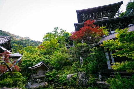 Deine Reise nach Miyajima: Entdecke die heilige Insel in der Bucht von Hiroshima