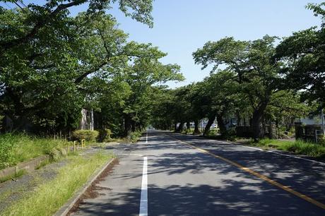 Fukushima Atomkraftwerk – Disaster Area Tour