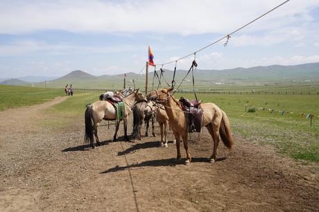 Ausflug zum Chinggis Khaan Statue Complex aus Ulaanbaatar