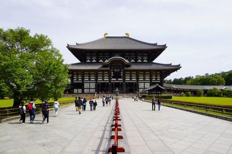 Nara Park – Hungrige Rehe und Tempel