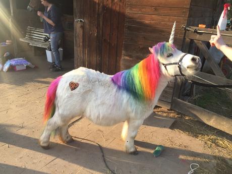 Ein echtes Einhorn