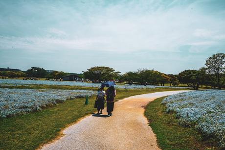 8 Sehenswürdigkeiten in Fukuoka, die du nicht verpassen solltest