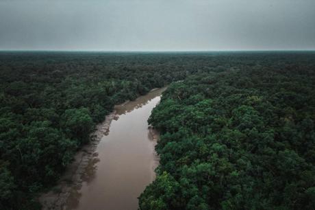Sundarbans – der größte Mangroven Dschungel der Welt